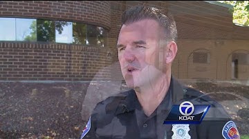 Electronic theft device