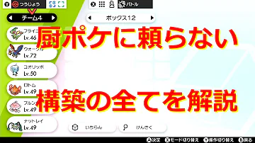 我々だ ポケモン 水を得たマイナー厨の戦い スタジアム2