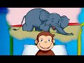上の階にゾウがいる！？ 🐵 おさるのジョージ