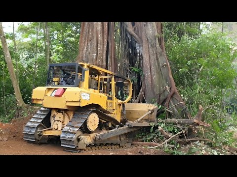 Video: Hvor sterke er bulldosere?