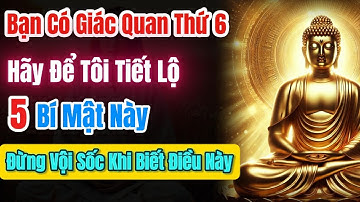 Sự Thật Về Giác Quan Thứ 6 Của Bạn! Bạn Thực Sự Là Ai – Hậu Duệ Bồ Tát, Người Trời Hay Bậc Giác Ngộ.