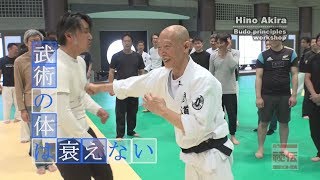DVD 日野晃の達人セミナー