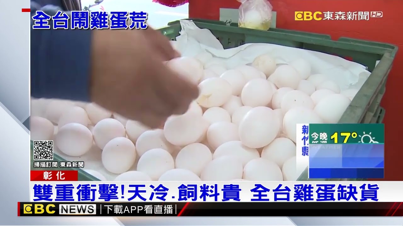 Download 天冷、飼料貴！雞蛋缺貨 雞農：蛋價恐回不去 @東森新聞 CH51