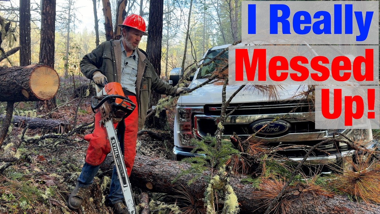 Huge Tree Falls the WRONG Way!