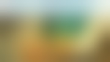 Metacarpophalangeal Joint Arthrodesis of the Thumb