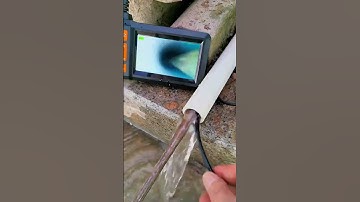 Dây camera nội soi đường ống