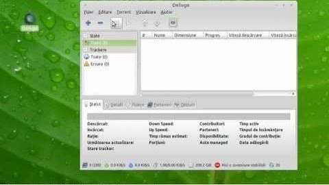 Client Deluge Bittorrent  pentru Linux Mint