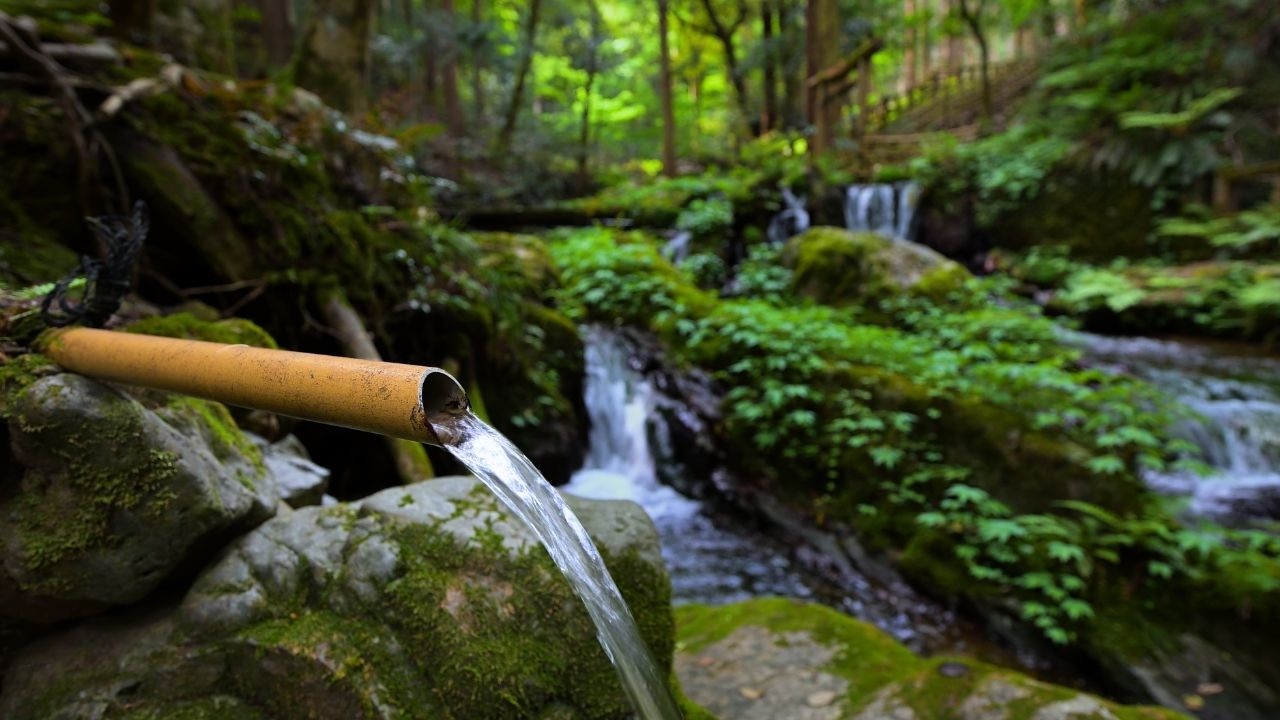 10 HOURS of Natural Water Sounds in a Quiet Forest River