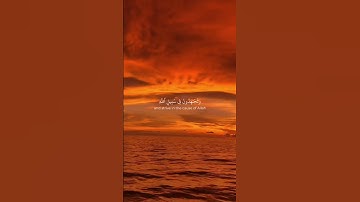 تلاوة جميلة من القارئ ياسر الدوسري #ayatulkursi #اكسبلور #islamicholybook #راحة_نفسية #لايك