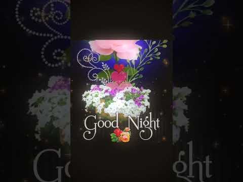 Good Night Status Video WhatsApp Status Video Good Night 17/02/2023