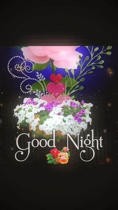 Good Night Status Video WhatsApp Status Video Good Night 17/02/2023