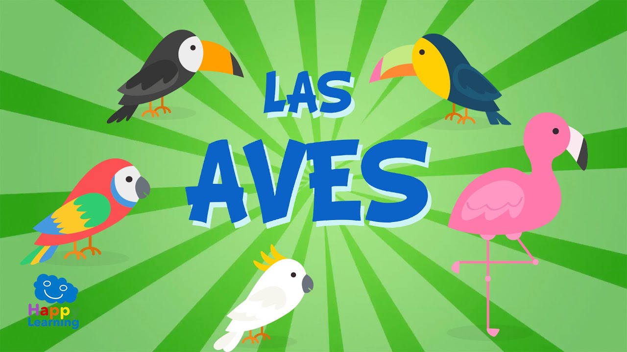 Bienes Acostumbrados a sutil LAS AVES | Vídeos Educativos para Niños - YouTube