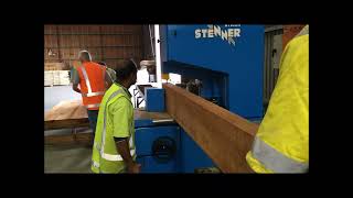 ST100R Stenner