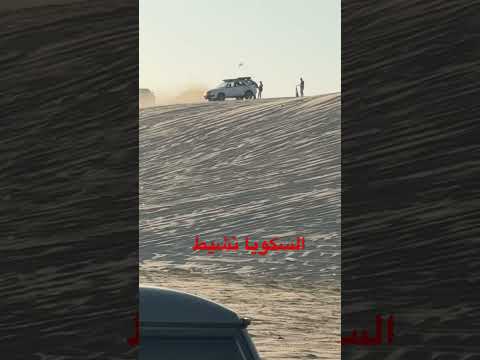 الهافمون طعس بايسن 2