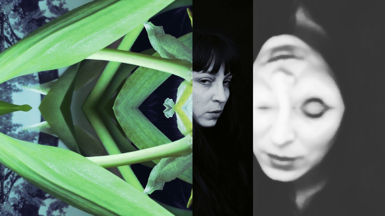 Obejrzyj Boxandthetwins Zerfall w YouTube Obejrzyj Boxandthetwins Zerfall w YouTube