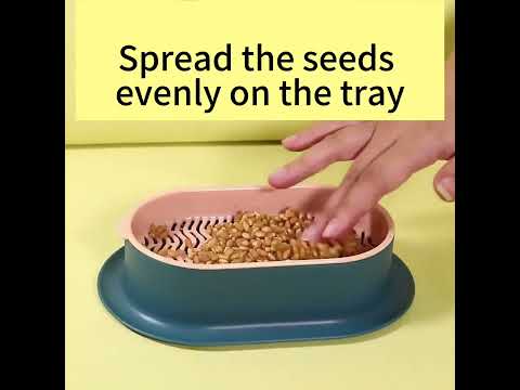 TD Hydroponic Plant Cat Grass Kit