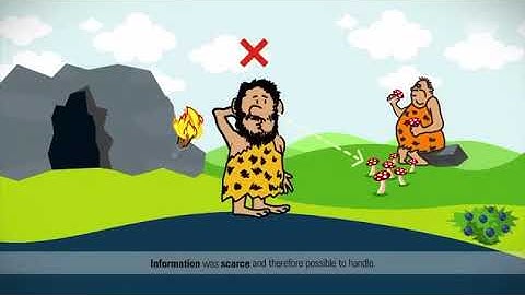 What is information management?