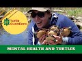 Mental Health and Turtles | Turtle Guardians Curriculum