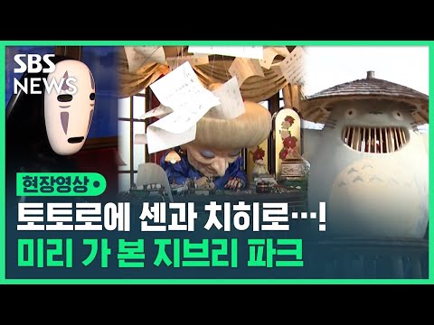   이웃집 토토로 센과 치히로의 행방불명 미리 가 본 지브리 파크 실제 모습 현장영상 SBS