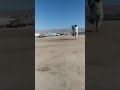 غدف سيحوت غدف سيحوت