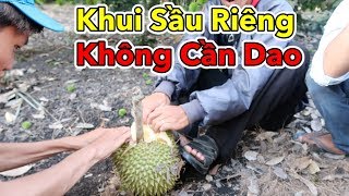 Lamtv - Khui Sầu Riêng Không Cần Dao | Ăn Trái Cây Ngay Tại Vườn