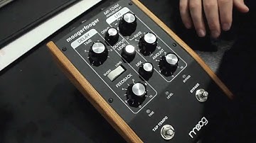 New Moog MF-104M Analog Delay Moogerfooger Sneak Preview