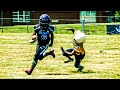 CHAMPIONSHIP GAME🔥🔥8U Royal Hornets vs QC Chargers | Spring Youth Football Alliance