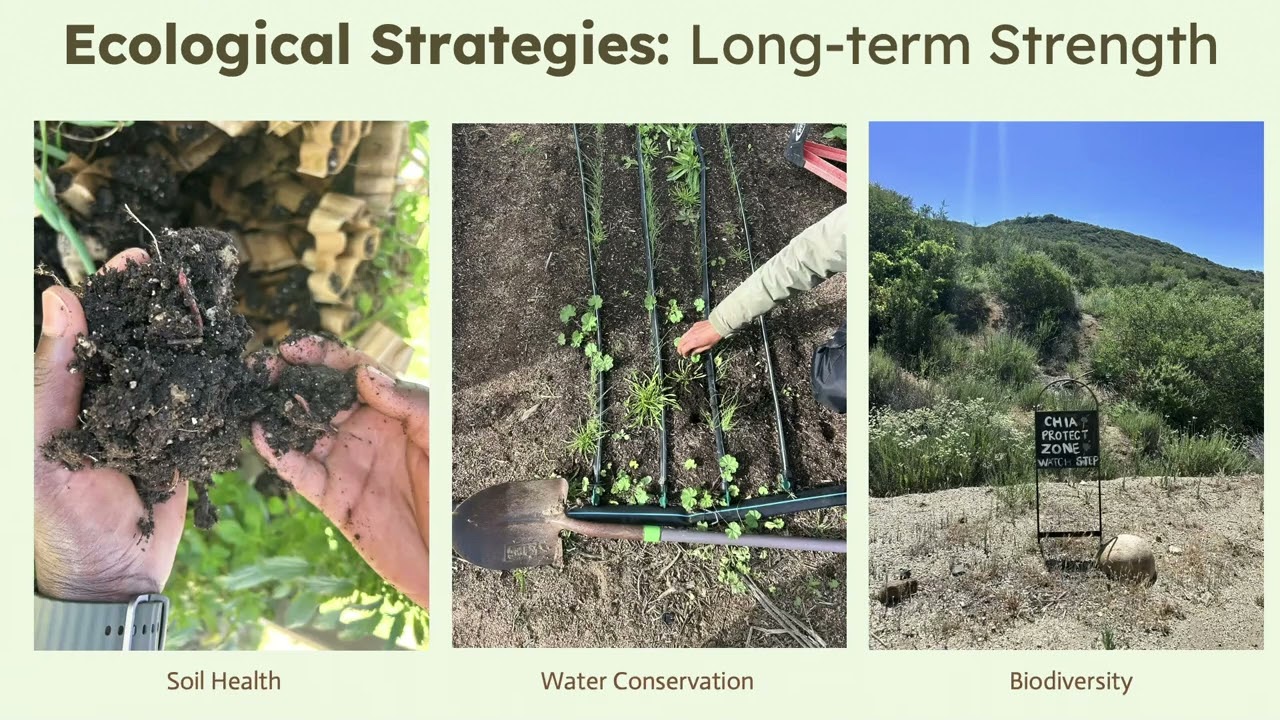 Lainey Bloom - Urban Agriculture and Climate Resilience - MAS CSP 2026 Symposium