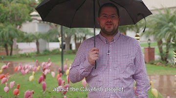 Tips from a SMRT Grant Winner