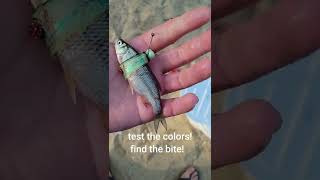 What is the jackwrap live bait harness!? #fishing