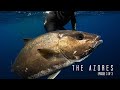 Secret Pinnacle in "The Azores" Things go wrong while Spearfishing Big Almaco Jack!