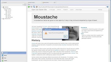 Using Razor and data to build a list-to-detail view in Composite C1