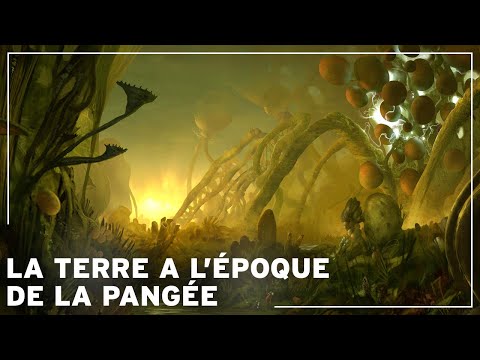 Vidéo: À quoi ressemblait la Pangée ?