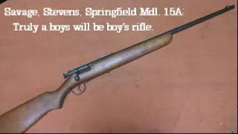 Savage, Stevens, Springfield Model 15A: Truly a bo...