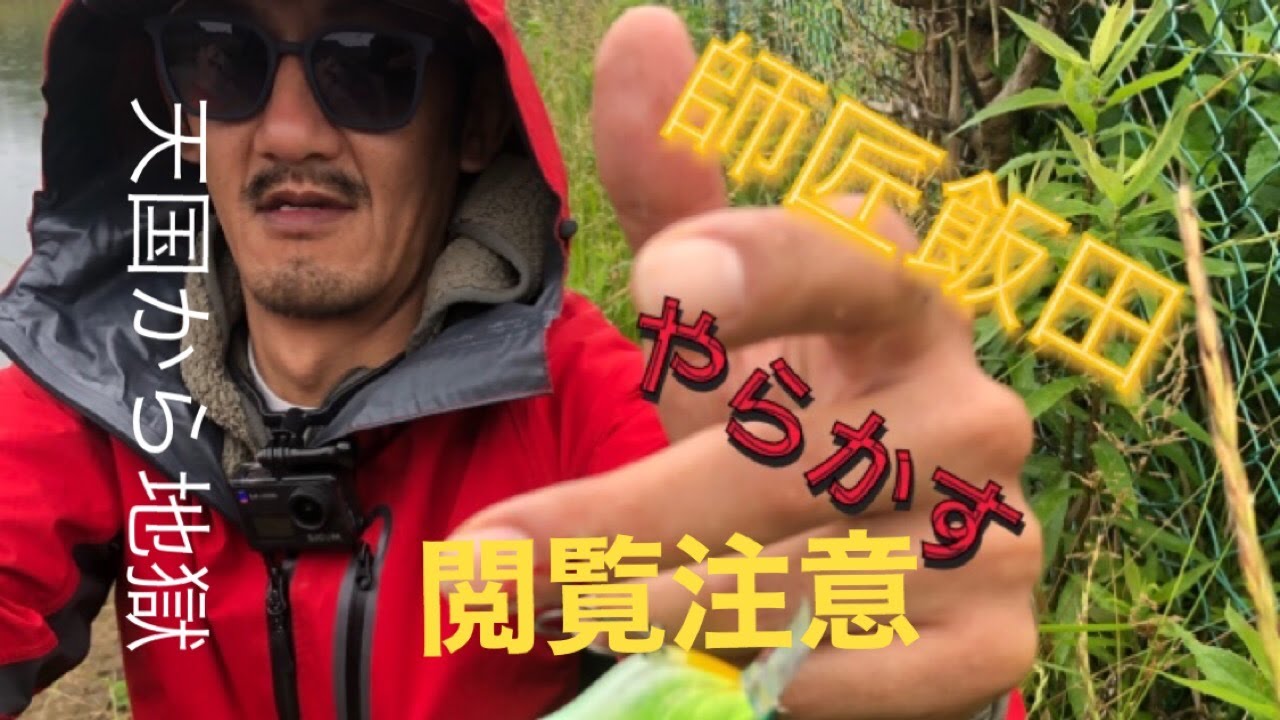 滋賀県野池釣行グロ注意 Youtube