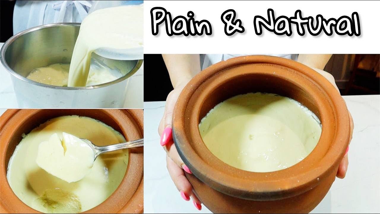 Homemade Thick Yogurt without Milk & Dairy Natural & Plain Yogurt Vegan