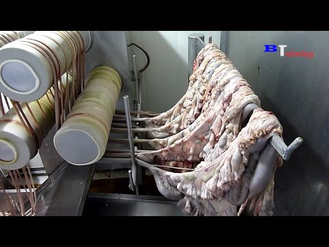 How Are Sausages Produced in Factories, Excellent Food Production and Processing Process