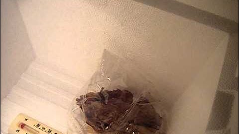 Part 8.3: Fermenter update #2, How to Grow Tobacco Series