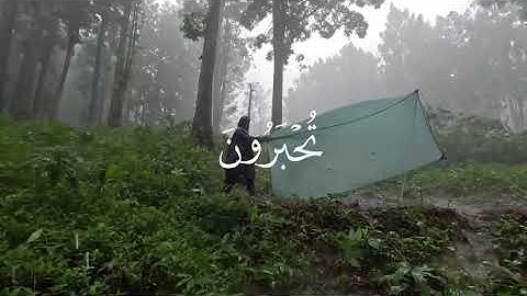 ادْخُلُوا الْجَنَّةَ أَنْتُمْ وَأَزْوَاجُكُمْ تُحْبَرُونَ | المنشاوي من سورة الزخرف
