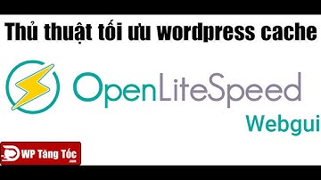 [ OLS - WP 5 ]  Thiết lập cache máy chủ Cache Modules dành cho wordpress trên openlitespeed
