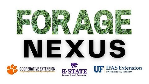 Forage Nexus: Soil sampling in pastures