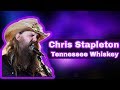 Chris Stapleton - Tennessee Whiskey w/ little boy from crowd wearing Chris Cornell shirt