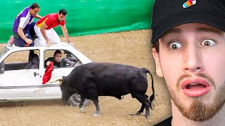 CRAZIEST Animal Encounters Caught on Camera...