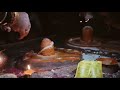 Ratneshwar mahadev Dayal