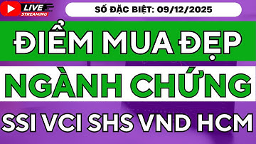 TOP Cổ Phiếu Chứng Khoán Cuối 2025: SSI, HCM, VND, VIX, CTS – Dự Báo Xu Hướng & Điểm Mua Đẹp Nhất!