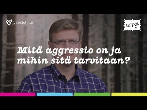 Video: Mitä tarvitaan auton vuokraamiseen Texasissa?