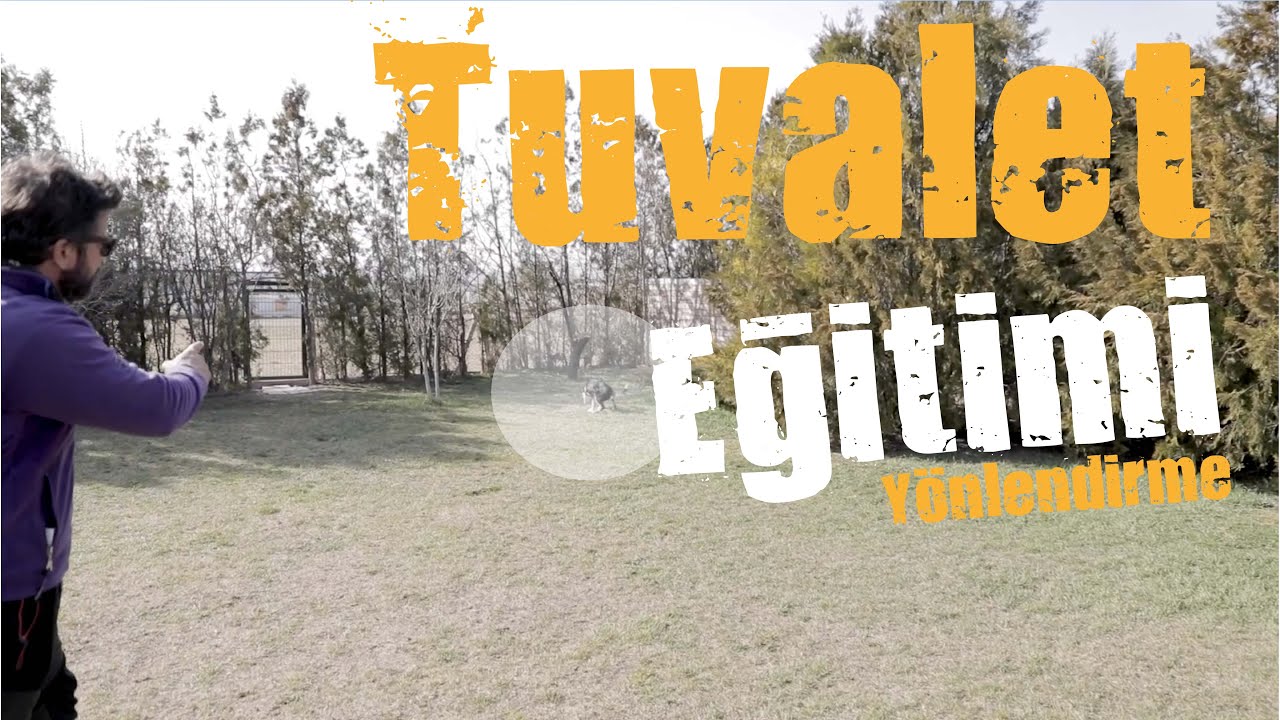 Tuvalet Eğitimi ( Yönlendirme )