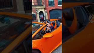 Love Cycle in a Lamborghini #asmr #lamborghini #moviejet