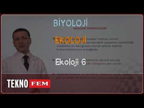 YGS-LYS BİYOLOJİ - Ekoloji 6