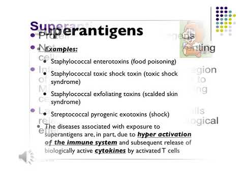 Superantigens - Atopic Dermatitis - Mitch Medical Healthcare